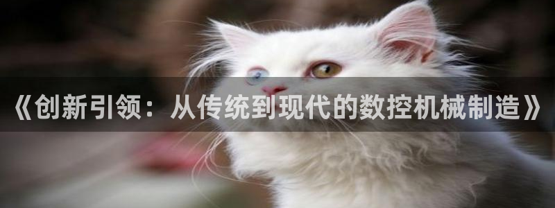 娱乐ktv天辰
