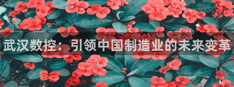 天辰娱乐扣钱