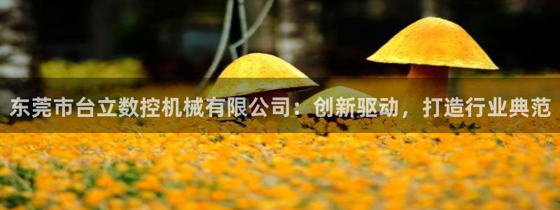 天辰娱乐指定