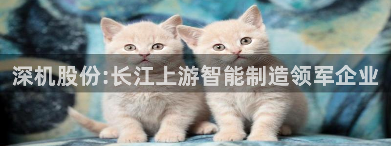天辰娱乐上级