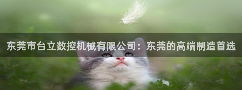 天辰娱乐app