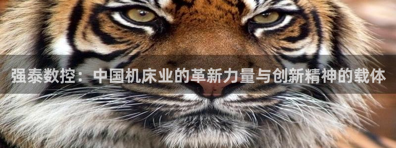 天辰娱乐 728567：强泰数控：中国机床业的革新力量与创新精神的载体