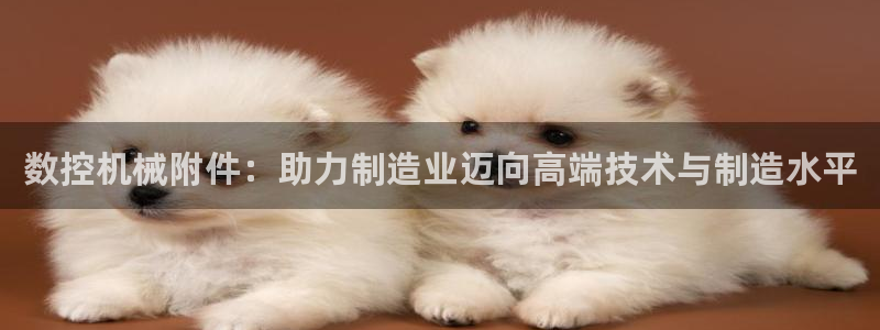 天辰团队贝高娱乐