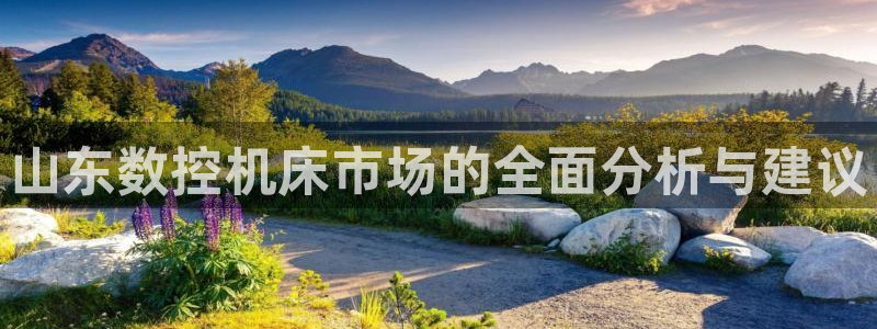 常州天辰娱乐:山东数控机床市场的全面分析与建议