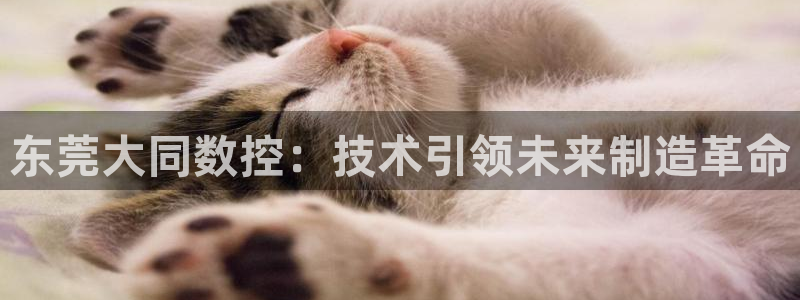 天富娱乐与天辰娱乐