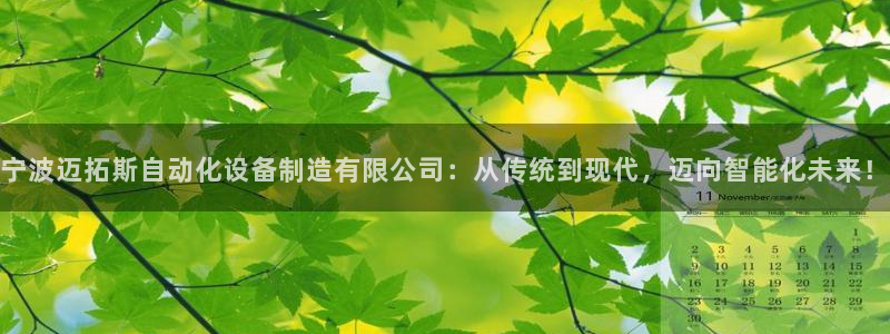 天辰娱乐国际:宁波迈拓斯自动化设备制造有限公司:从传统到现代,迈向智能化未来!