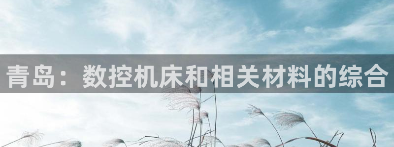天辰娱乐 849852