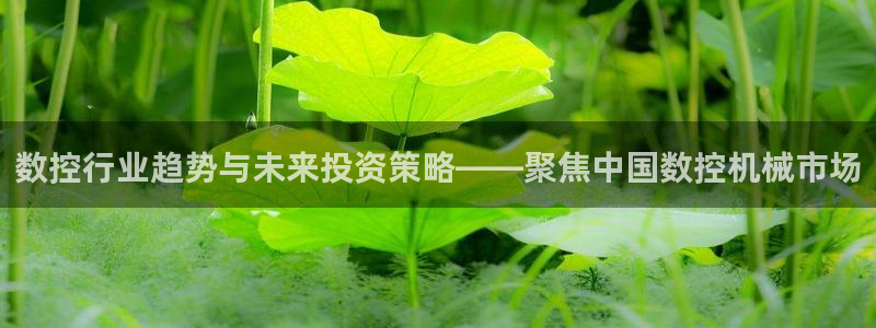 天辰娱乐视频：数控行业趋势与未来投资策略——聚焦中国数控机械市场