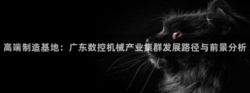 天辰娱乐说：高端制造基地：广东数控机械产业集群发展路径与前景分析