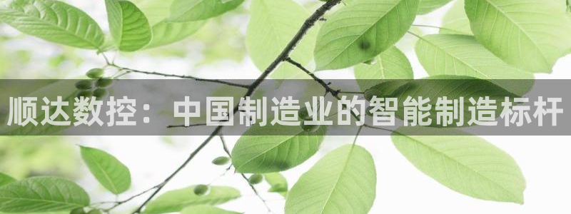 天辰娱乐481928