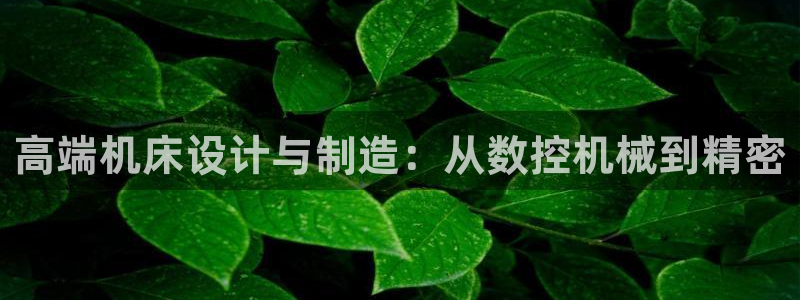 天辰娱乐官网：高端机床设计与制造：从数控机械到精密