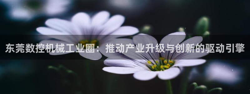 天辰娱乐赌博：东莞数控机械工业圈：推动产业升级与创新的驱动引擎