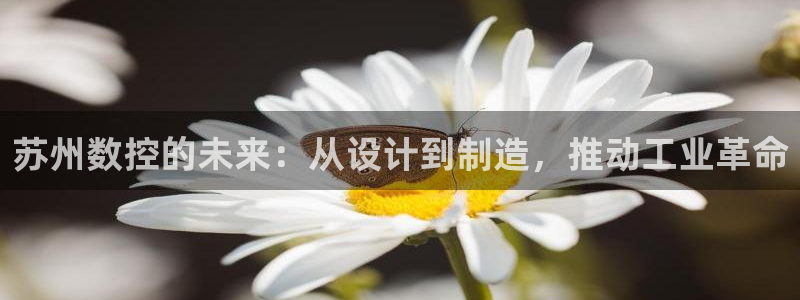 天辰娱乐下载