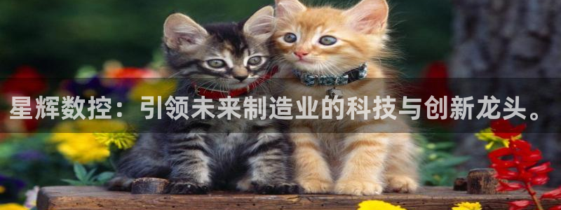 天辰娱乐官网平台入口：星辉数控：引领未来制造业的科技与创新龙头。