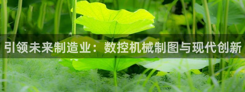 天辰娱乐ttf