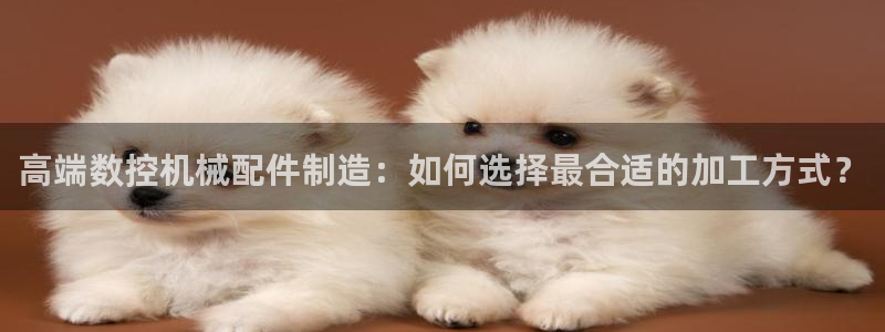 南京天辰娱乐