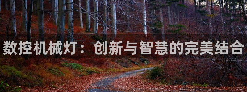 天辰娱乐 18113:数控机械灯:创新与智慧的完美结合