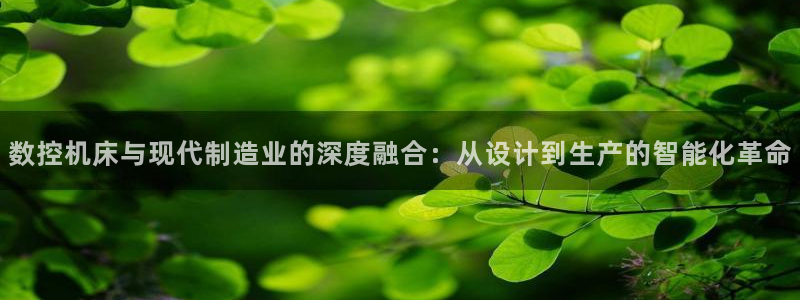 天辰娱乐股东