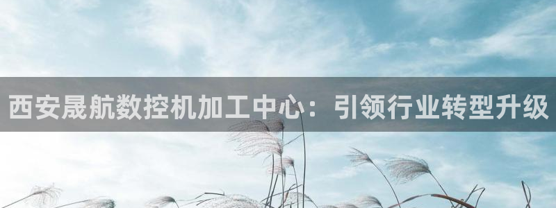 天辰娱乐ttf