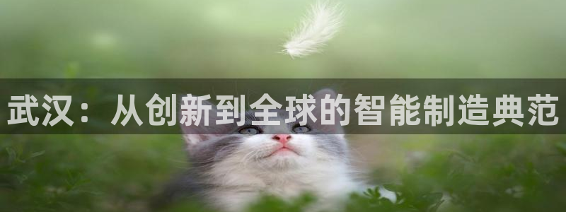 天辰娱乐文化