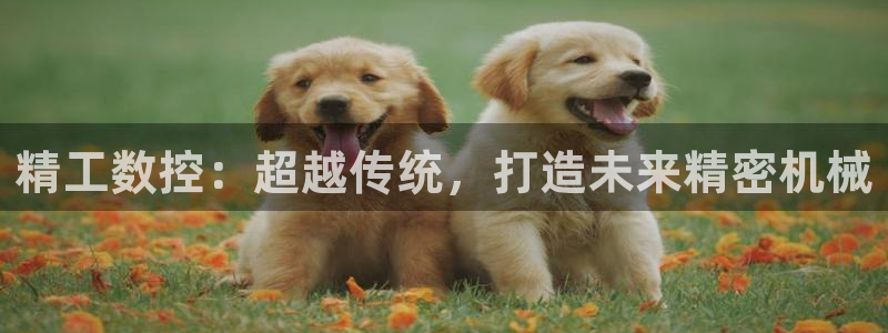 天辰娱乐传媒