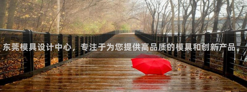 天辰娱乐维护：东莞模具设计中心，专注于为您提供高品质的模具和创新产品。