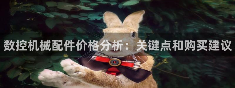 天辰娱乐53551