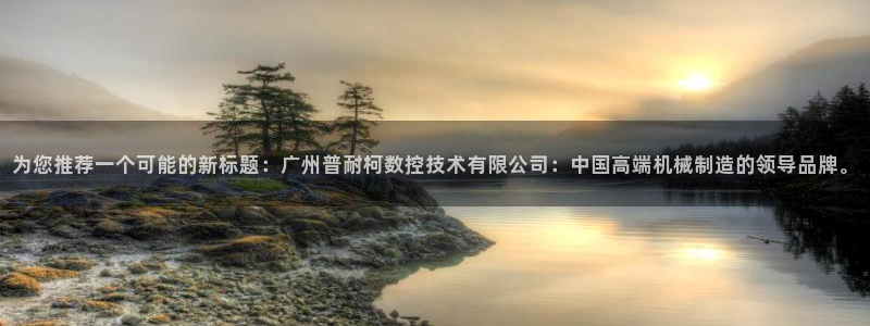 天辰娱乐酒店：为您推荐一个可能的新标题：广州普耐柯数控技术有限公司：中国高端机械制造的领导品牌。