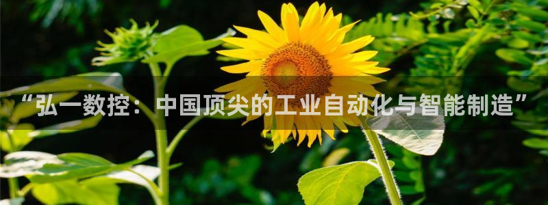 天辰娱乐平台测速：“弘一数控：中国顶尖的工业自动化与智能制造”