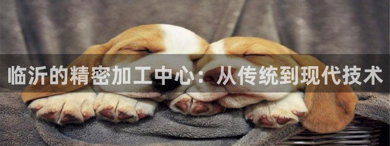 天辰娱乐登陆平台