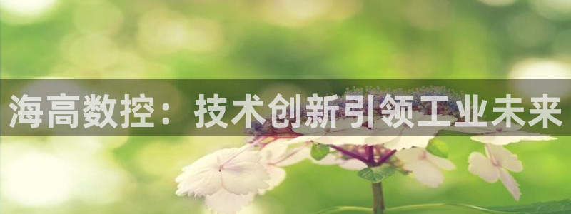 天辰娱乐天辰注册登录：海高数控：技术创新引领工业未来