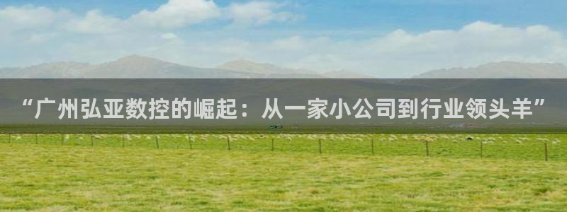 天辰娱乐娱乐平台：“广州弘亚数控的崛起：从一家小公司到行业领头羊”