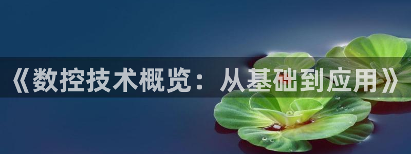 天辰团队贝高娱乐