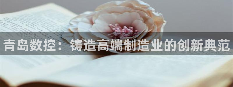 天辰娱乐指尖所