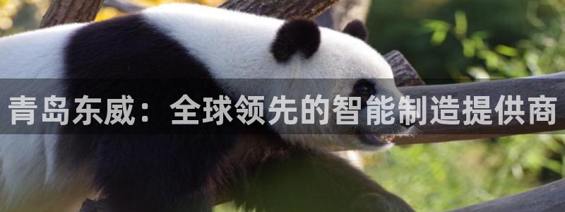 天辰平台娱乐：青岛东威：全球领先的智能制造提供商