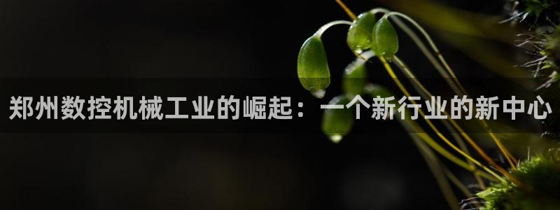 南京天辰娱乐：郑州数控机械工业的崛起：一个新行业的新中心