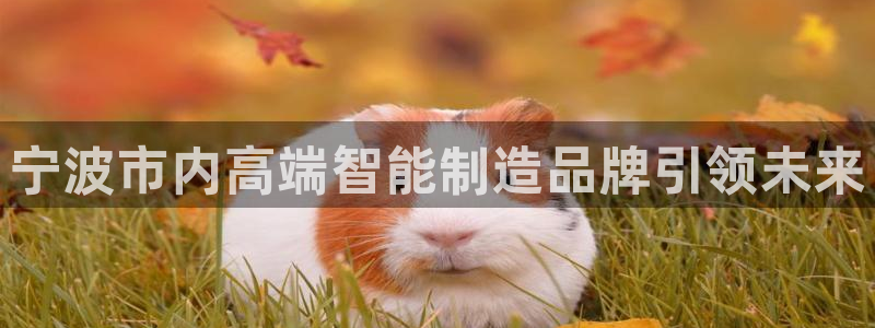 天辰娱乐官方网