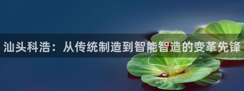 天辰娱乐