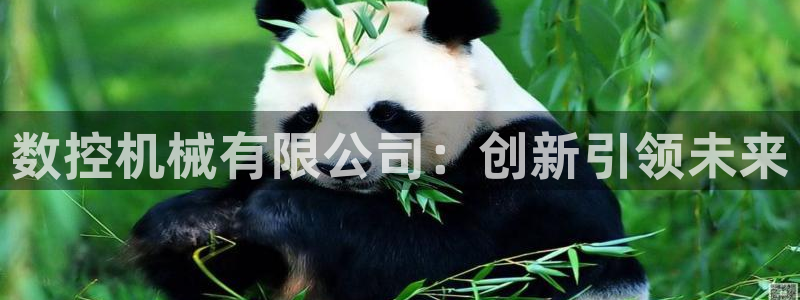 天辰娱乐平台入口