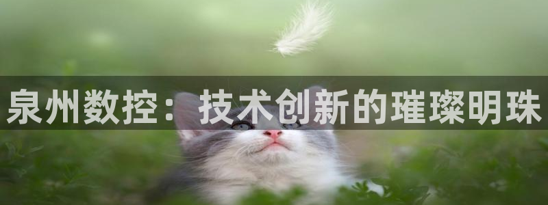 天辰娱乐代理