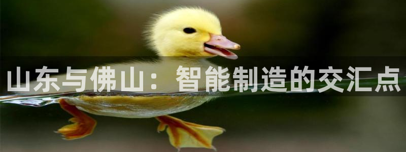 天辰 娱乐 注册