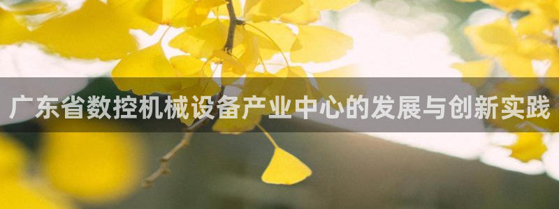 天辰娱乐平台登录账号