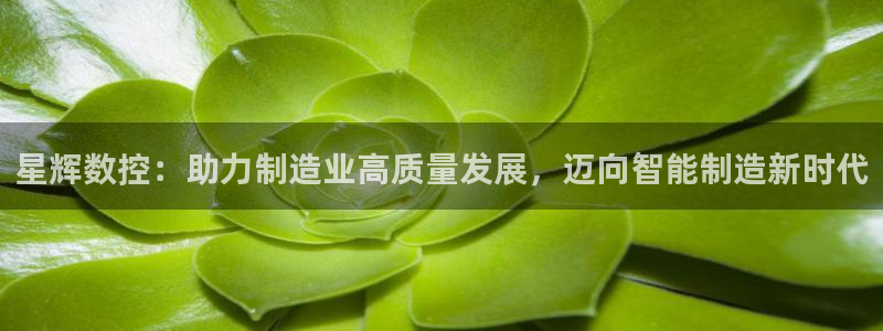 天辰娱乐线路