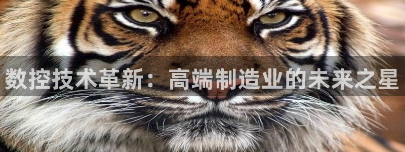桂林天辰娱乐：数控技术革新：高端制造业的未来之星