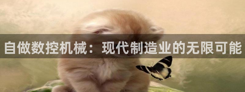 天辰 娱乐：自做数控机械：现代制造业的无限可能