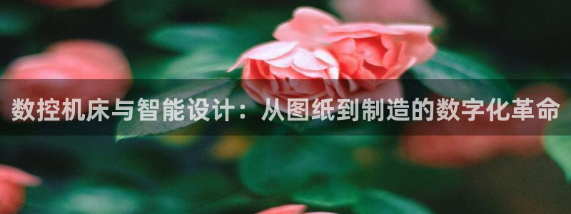 天辰娱乐登陆
