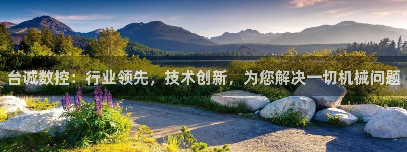 腾讯天辰娱乐：台诚数控：行业领先，技术创新，为您解决一切机械问题