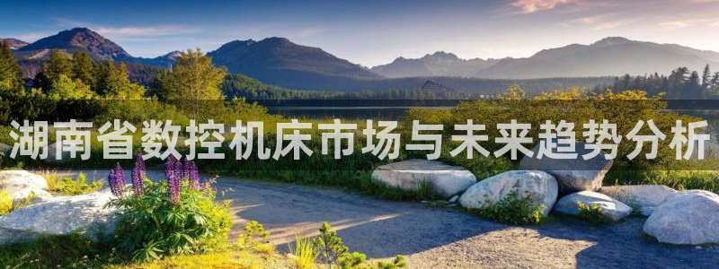 天辰娱乐国际：湖南省数控机床市场与未来趋势分析