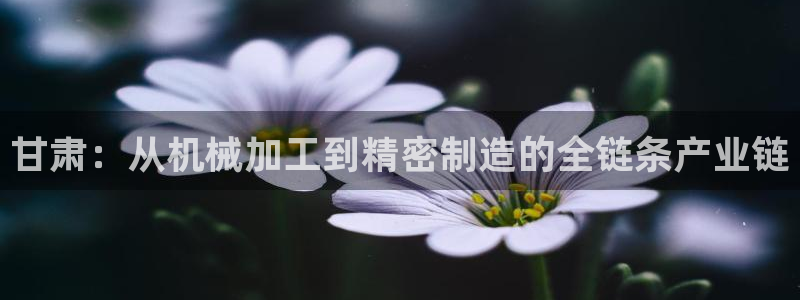 天辰娱乐指定：甘肃：从机械加工到精密制造的全链条产业链