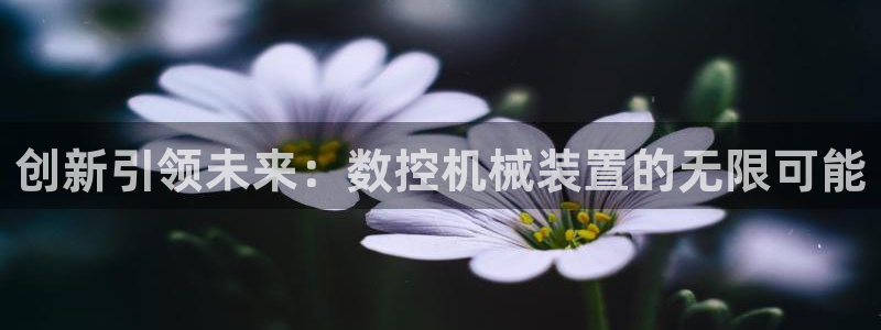 天辰娱乐天辰宝